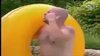 Phát Điên Vì Bikini