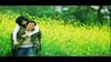 Mùa Hoa Sữa Về